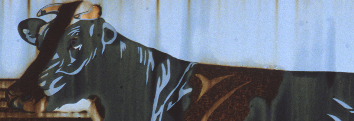 interiorsigns